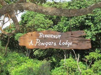 Pongara Lodge Libreville Bagian luar foto